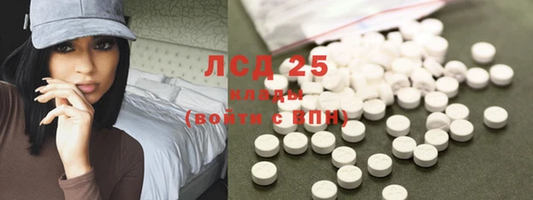 spice Богородск