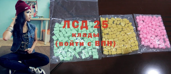spice Богородск